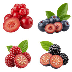 Fresh assorted berries including red currants, blueberries, raspberries, blackberries  