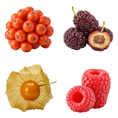 Assortment of colorful exotic fruits on white background  