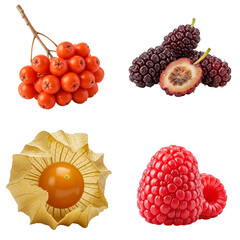Assorted fresh berries and fruits arranged on white background  
