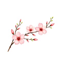 Digital Illustration of Pink Cherry Blossom Branch