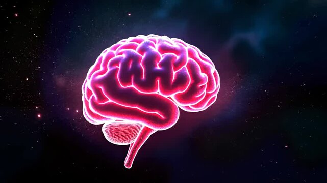 Scan brain, Neural activity, Cognitive function. Brain health. Neurons transmit at high speed. Cortex stimulation improves memory. Brainwave patterns indicate concentration