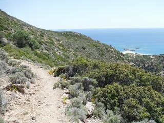 Verdant hiking path winding down rocky terrain, leading to isolated sandy coastline with...