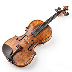 violin on white background