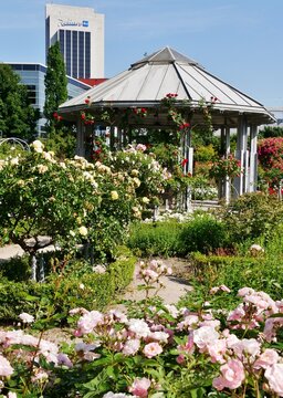 Pavillon im Rosengarten Planten un Blomen