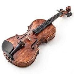 violin on white background