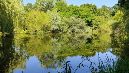 beautiful view of the lake in the park
