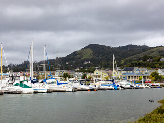 San Rafael CA USA March 16 2025 Yachts docked at Loch Lomond Park Marina