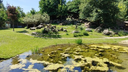 beautiful view of the park ....
