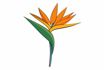 Isolated vector illustration of a tropical orange strelitzia flower with bloom and leaves, a paradise bird plant of vibrant nature, perfect for spring garden decor