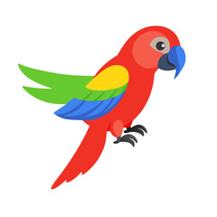 Parrot: The Colorful Birds of the Tropics