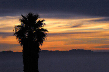 Africa- Sunset Over the Hills With Palm