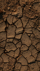 Overhead View of Dry Cracked Brown Soil Texture vertical