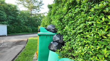 Overflowing green bins with black garbage bags line a hedge beside a quiet road in a leafy area