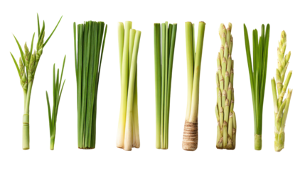 Variety of Fresh Green Vegetables Including Asparagus, Scallions, and Leeks on White Background