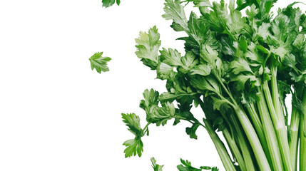 Fresh Green Celery Stalks with Crisp Leaves Isolated on Black Background for Culinary and Health Uses