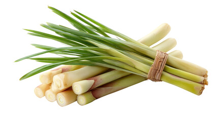 Fresh Lemongrass Stalks Bundled with Green Tops for Culinary Use and Aromatic Recipes