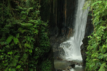 Beautiful waterfall, green plants and lianas in tropical forest