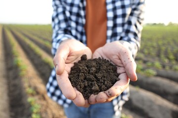 Man holding pile of soil in field, closeup