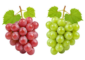 Fototapeta premium Grapes with leaves and water drops isolated on white or transparent background. PNG