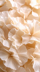 Elegant Petal Symphony: Close-up of delicate, cream-colored petals creating a textured and luminous display, evokes a sense of purity, softness and subtle beauty
