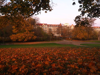 Autumn Urban Park with Historic Residential Buildings	