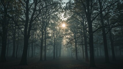 A surreal photograph of a forest at twilight, with enhanced lighting and dreamlike effects.