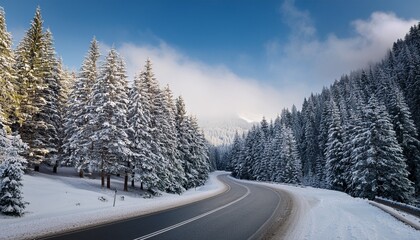scenic winding road through snow covered pine trees in winter