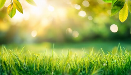 Obraz premium green yellow blur abstract natural bokeh background spring summer foliage grass greenery with natural sunny defocused bokeh lights background wallpaper