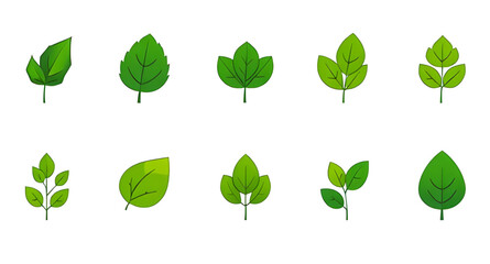 Leaf art set, Botanical illustration leaves, Green leaf pattern set, Tropical foliage set, Jungle leaves set, Forest leaves set, Greenery set, Garden leaves set, Leaf bundle, Different leaves set, Sum