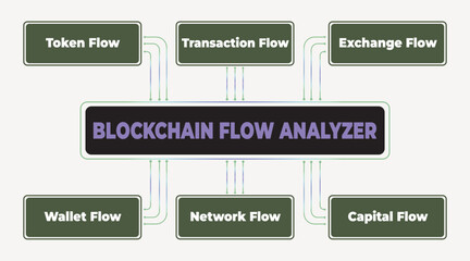 Blockchain Flow Analyzer: Visualizing Cryptocurrency Transaction Networks and Token Movement