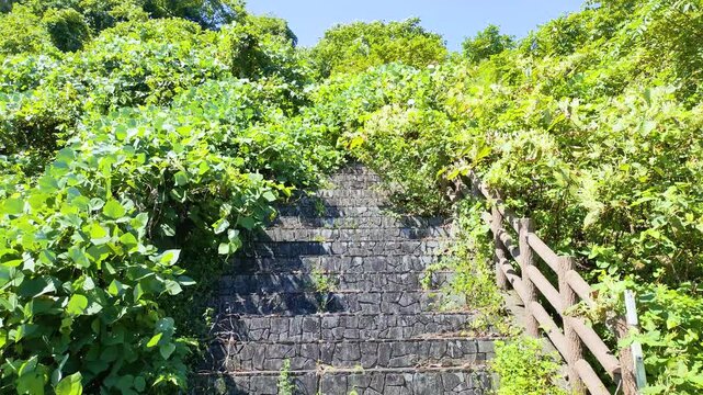 荒れた公園の階段