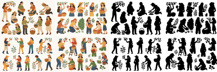 Vector Set Women picks fruits. Female farmers harvesting and silhouette