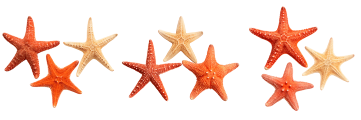 Set For Orange and tan starfish isolated on transparent background from the sea