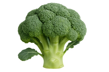 Vibrant green broccoli isolated on a transparent background, showcasing its texture and freshness, ideal for food photography and healthy eating projects