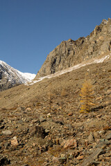 Fototapeta premium Rocky mountain landscape featuring rugged terrain, scattered boulders, and sparse vegetation under a clear blue sky, showcasing the beauty of nature's wilderness and tranquility