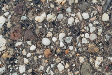 A rocky surface with a few large rocks and many smaller ones