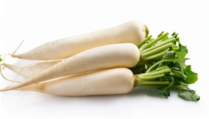 daikon radishes isolated on white background