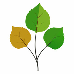 aspen vector on white background