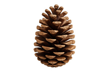Ponderosa pine cone isolated on transparent background, perfect for nature-themed projects or christmas decorations
