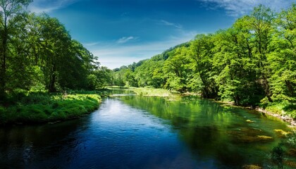 Obraz premium green trees in the forest and beautiful river