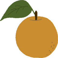 손으로 그린 귀여운 과일인 한국 배 일러스트