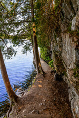 Solitaire Lake Trail offers a peaceful escape into nature, lined with lush trees and tranquil lake views, perfect for hiking and photography.