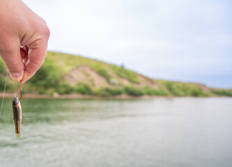 Selective focus on live bait minnow on a hook with water in the background