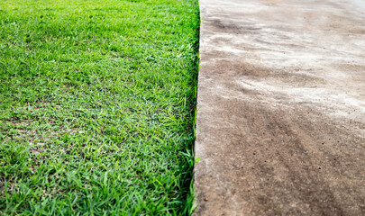 Green Grass and Concrete – Visual Contrast of Natural and Urban Surface concept idea