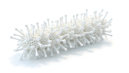 Fototapeta premium cotton swabs isolated on white background