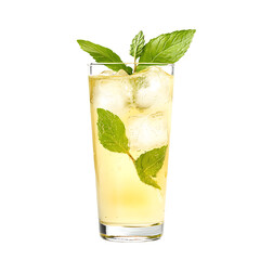 Refreshing Iced Beverage with Mint Leaves in a Tall Glass