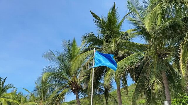 A blue flag against a backdrop of palm trees develops in the wind. Swaying blue flag against the background of the sea and palm trees. Medium level of danger. A strong wind is blowing. Flag on the coa