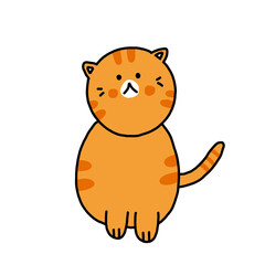 Orange tabby cat