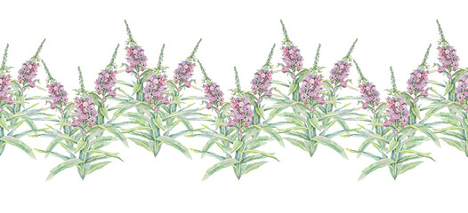 Watercolor seamless border with fireweed on white background. Summer pink flower with green leaves for wedding celebration card. Botanical rim for tea or kitchen. Wrapping or wallpaper or health book