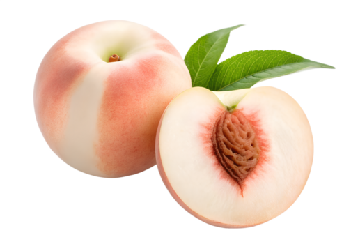 Peach fruit isolated on transparent background
